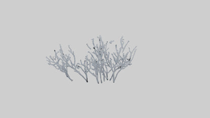 3D model Frosted Branches model VR / AR / low-poly