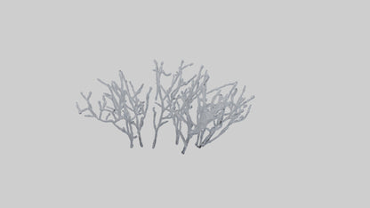 3D model Frosted Branches model VR / AR / low-poly