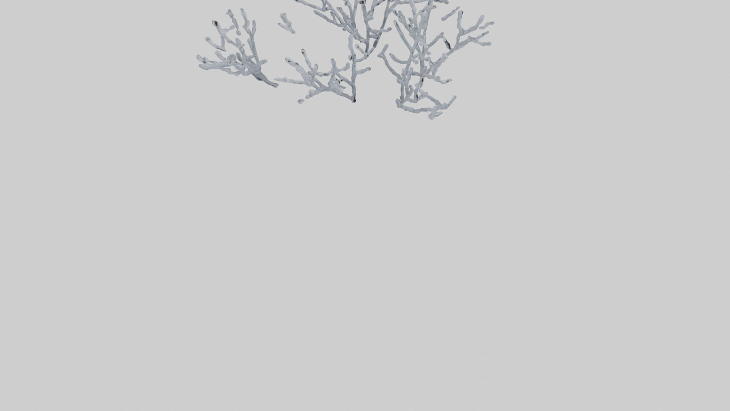 3D model Frosted Branches model VR / AR / low-poly