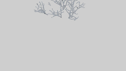 3D model Frosted Branches model VR / AR / low-poly