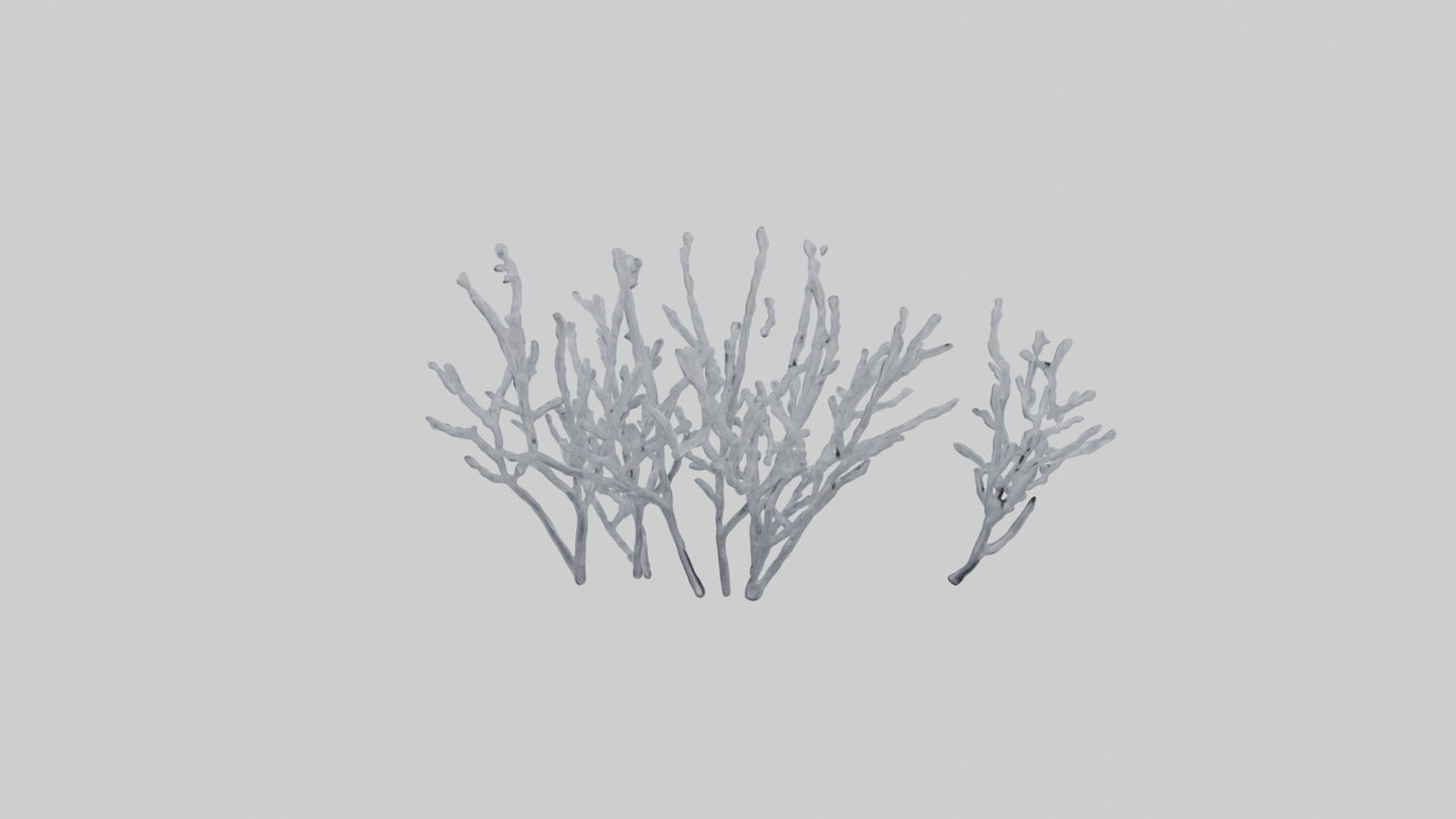 3D model Frosted Branches model VR / AR / low-poly