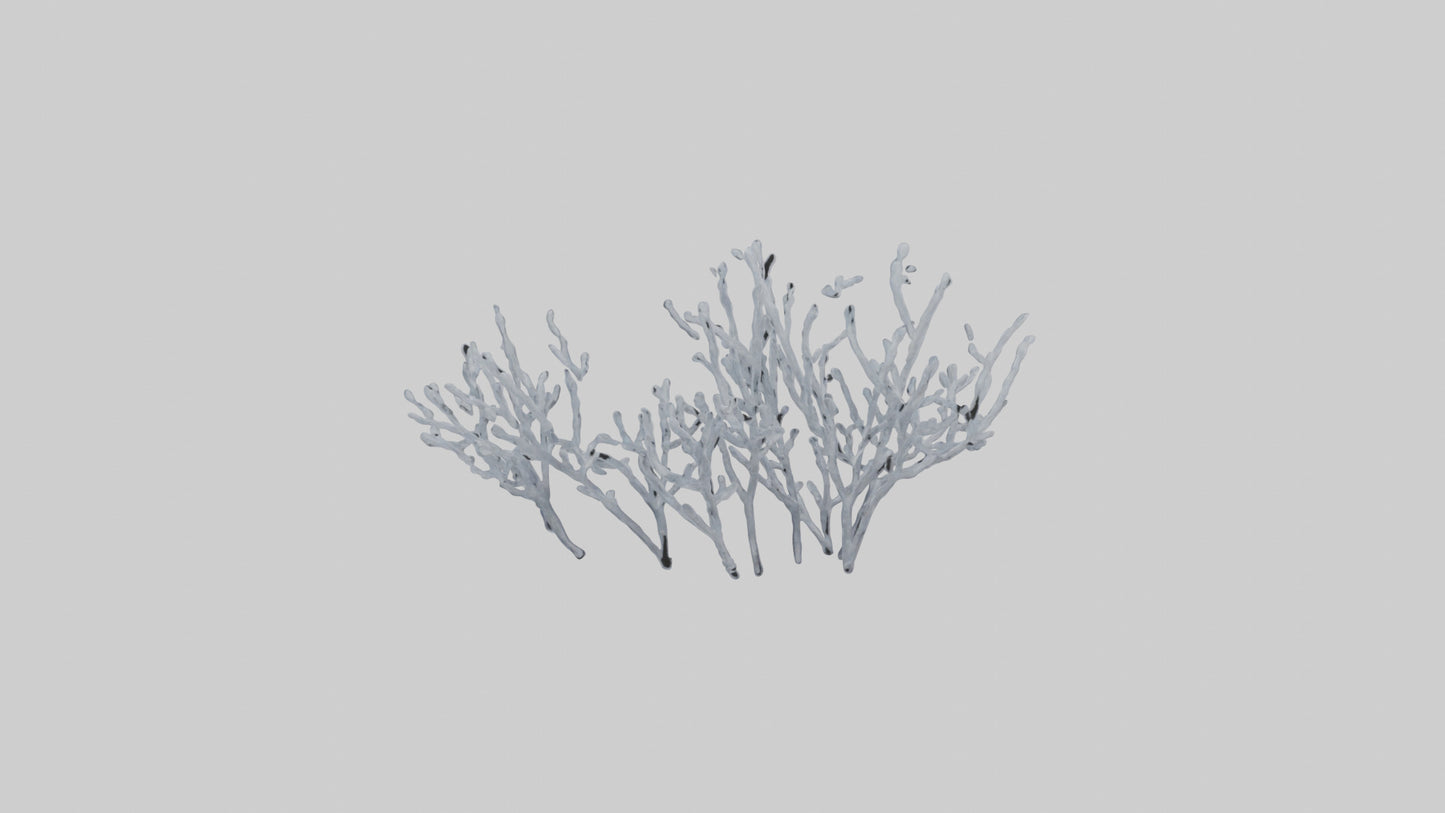 3D model Frosted Branches model VR / AR / low-poly
