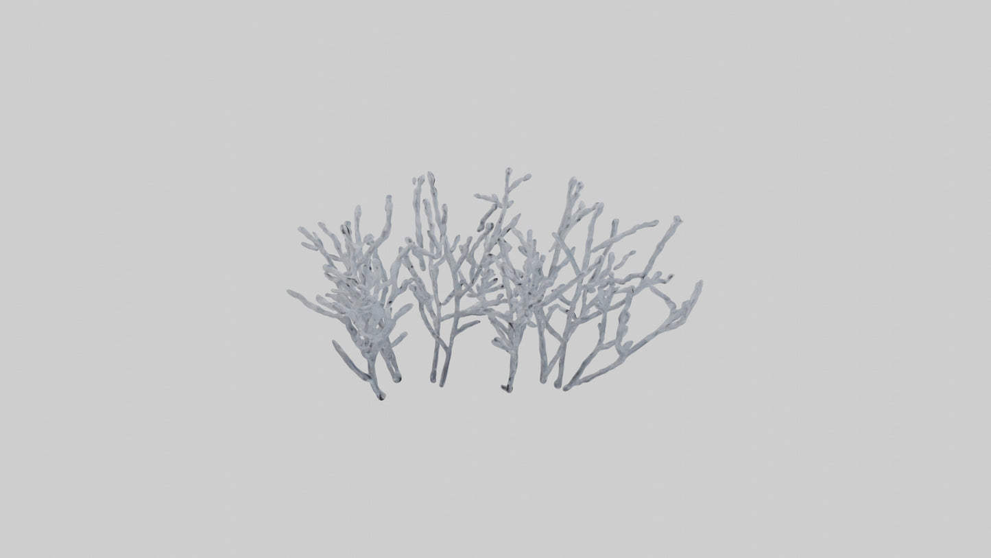 3D model Frosted Branches model VR / AR / low-poly