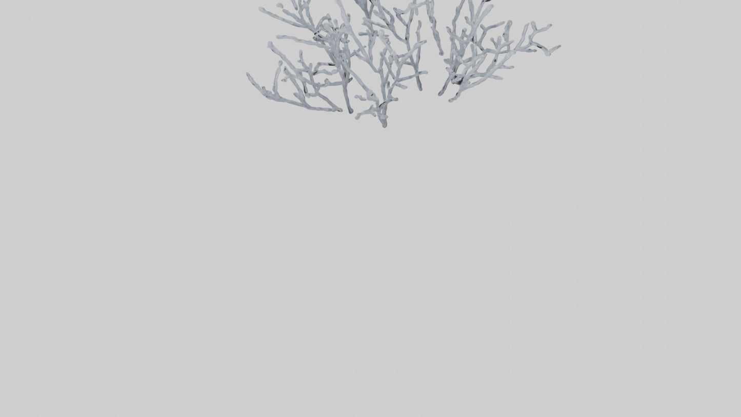 3D model Frosted Branches model VR / AR / low-poly