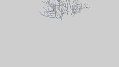 3D model Frosted Branches model VR / AR / low-poly