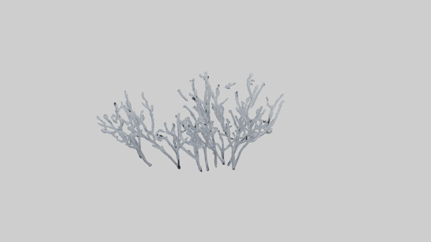 3D model Frosted Branches model VR / AR / low-poly