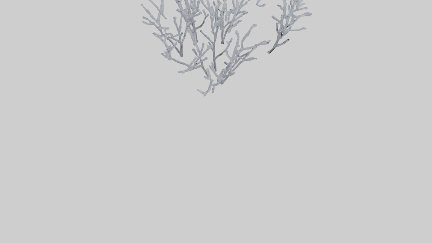 3D model Frosted Branches model VR / AR / low-poly