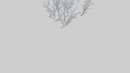 3D model Frosted Branches model VR / AR / low-poly