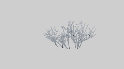 3D model Frosted Branches model VR / AR / low-poly