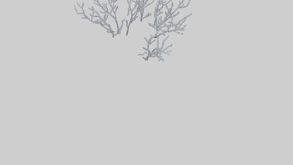 3D model Frosted Branches model VR / AR / low-poly