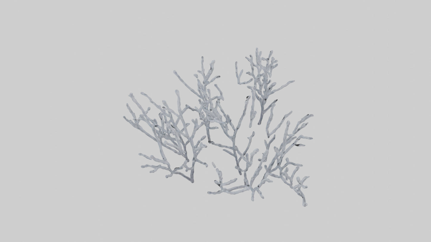 3D model Frosted Branches model VR / AR / low-poly