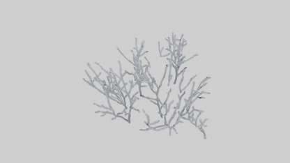 3D model Frosted Branches model VR / AR / low-poly