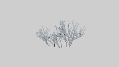 3D model Frosted Branches model VR / AR / low-poly