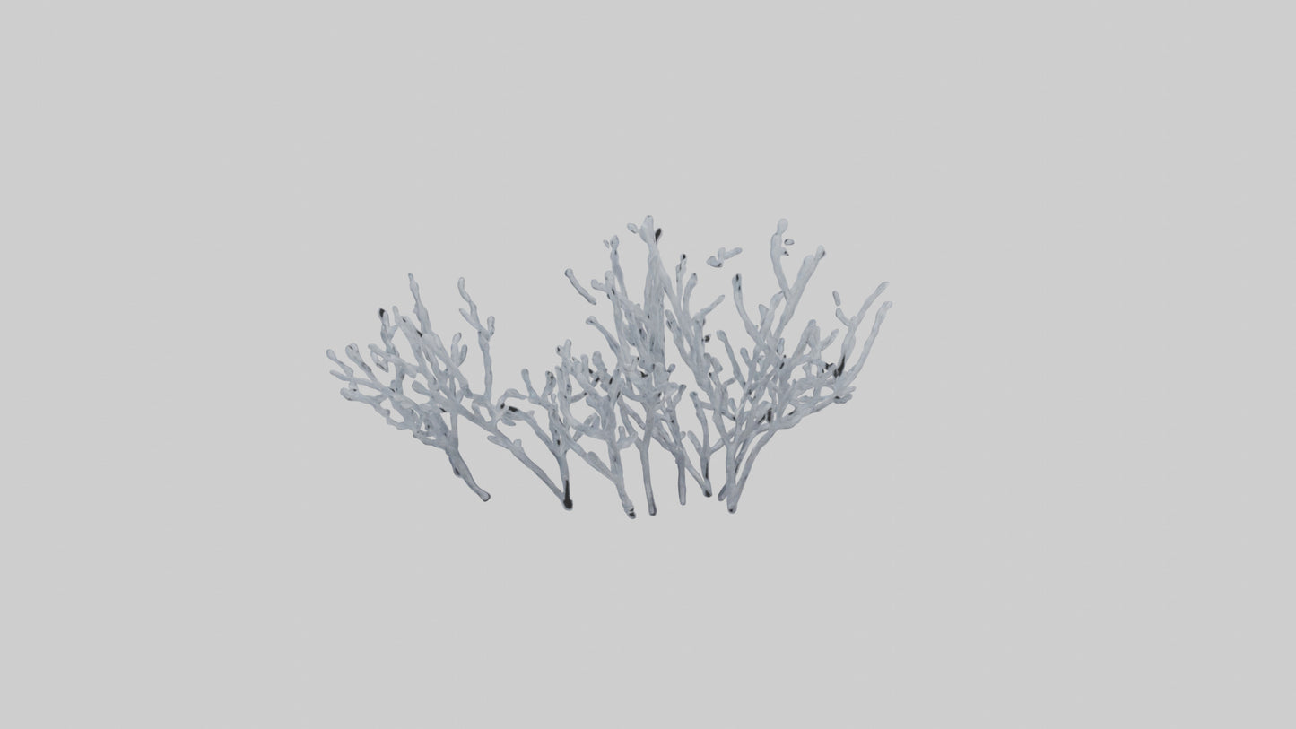 3D model Frosted Branches model VR / AR / low-poly