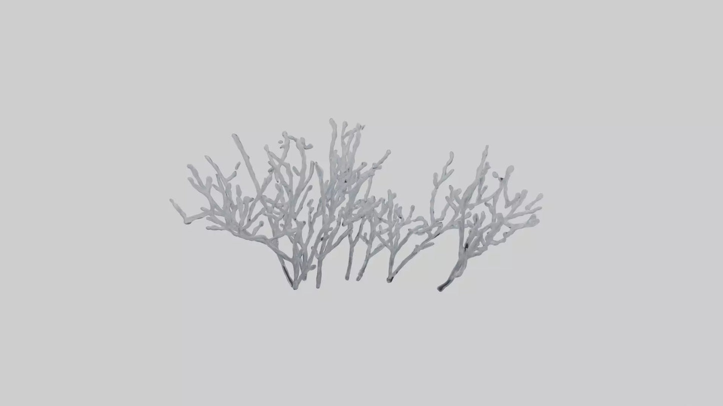 3D model Frosted Branches model VR / AR / low-poly