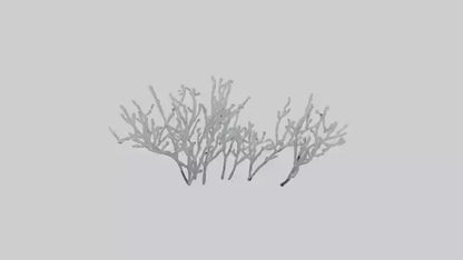 3D model Frosted Branches model VR / AR / low-poly