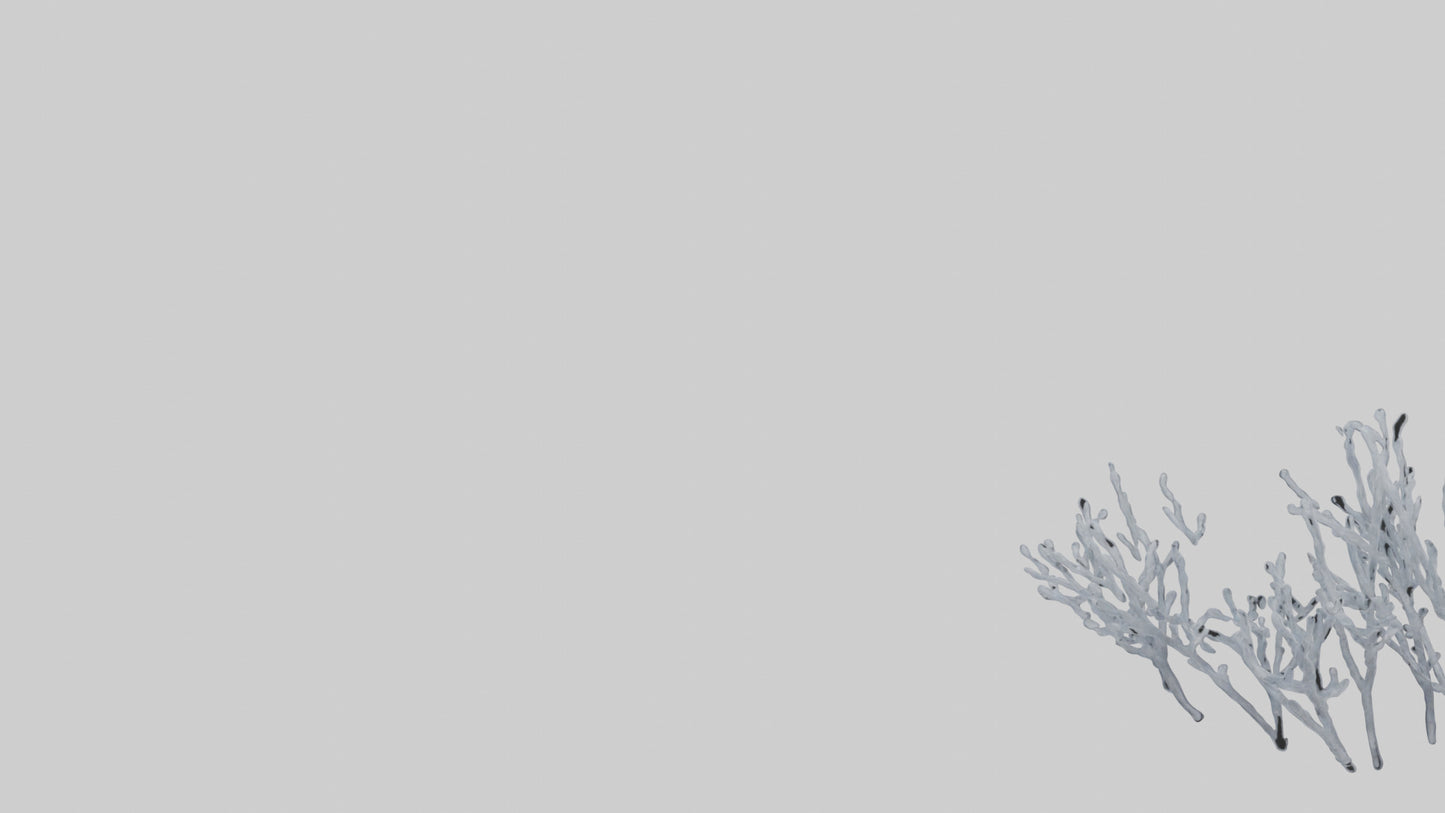 3D model Frosted Branches model VR / AR / low-poly