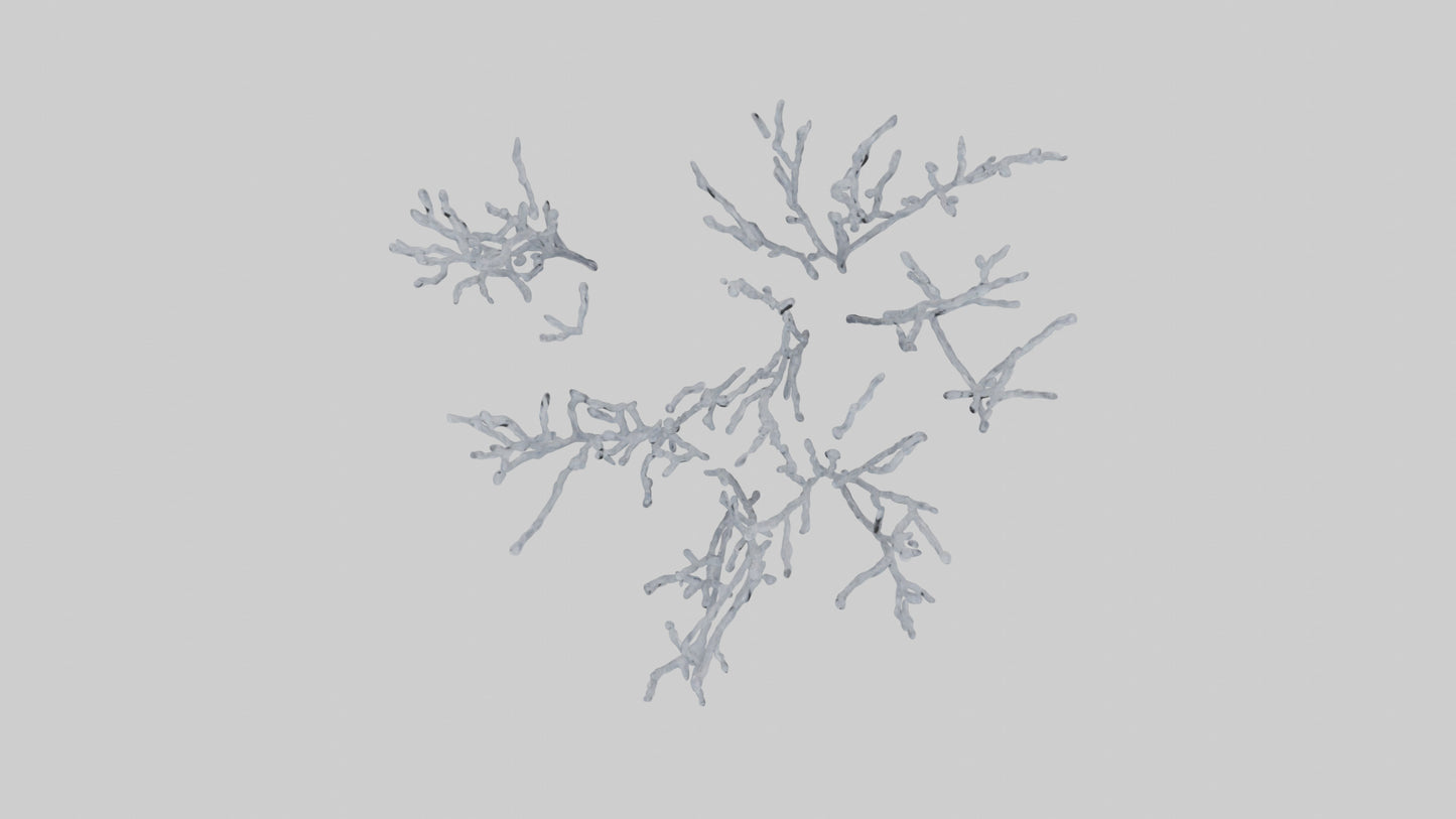 3D model Frosted Branches model VR / AR / low-poly