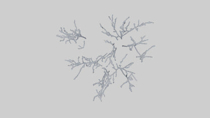 3D model Frosted Branches model VR / AR / low-poly
