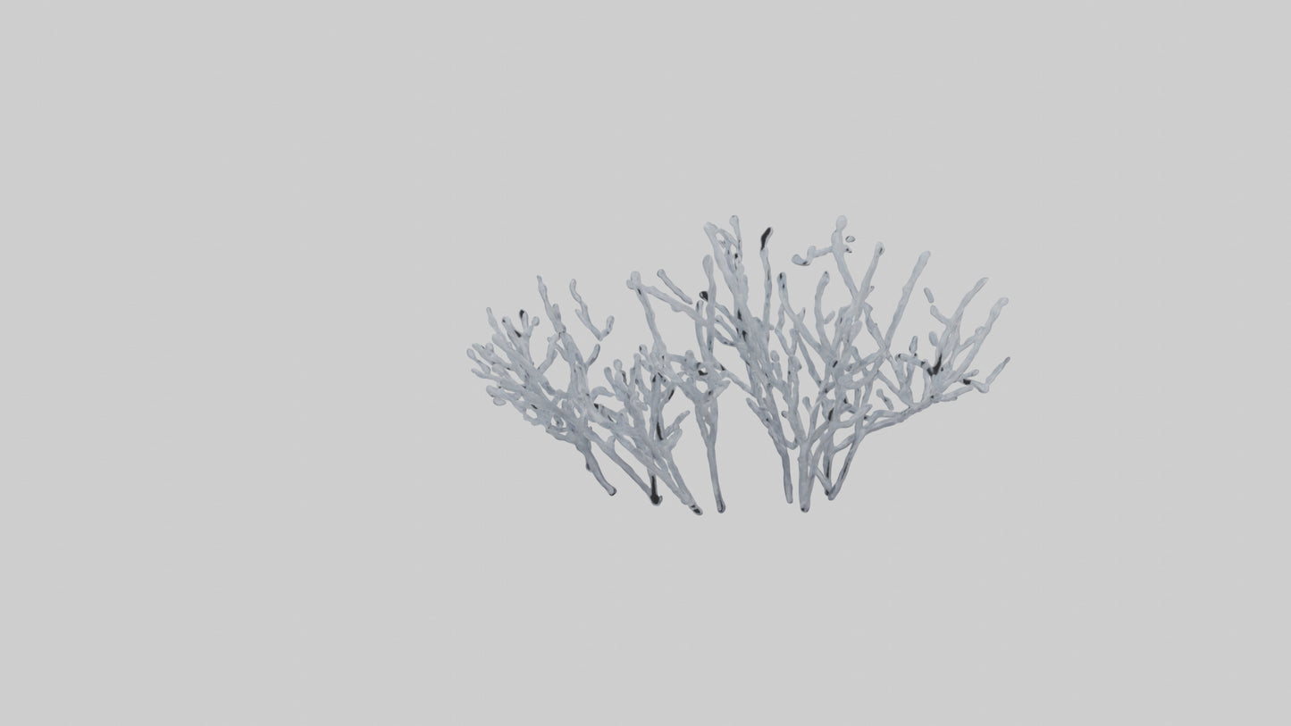 3D model Frosted Branches model VR / AR / low-poly