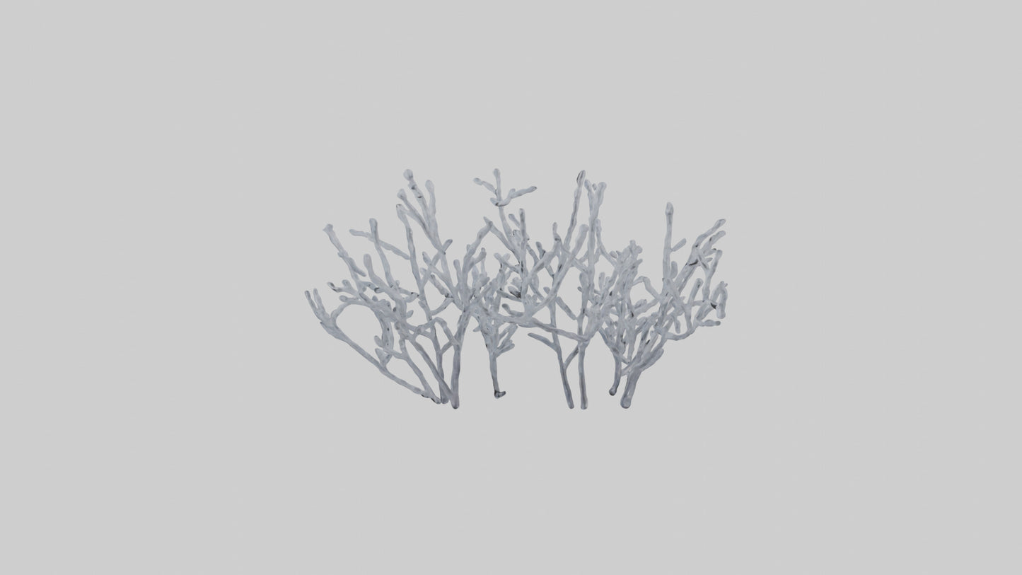 3D model Frosted Branches model VR / AR / low-poly