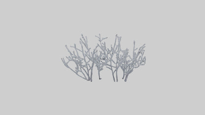 3D model Frosted Branches model VR / AR / low-poly