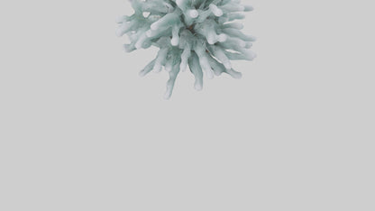 Frosted Pine Boughs model 3D model