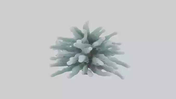 Frosted Pine Boughs model 3D model
