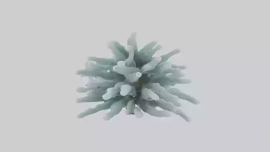 Frosted Pine Boughs model 3D model