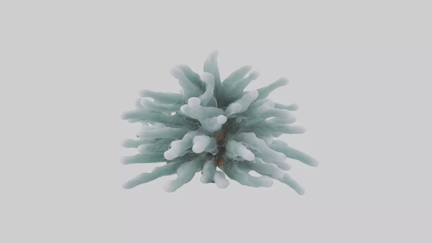 Frosted Pine Boughs model 3D model
