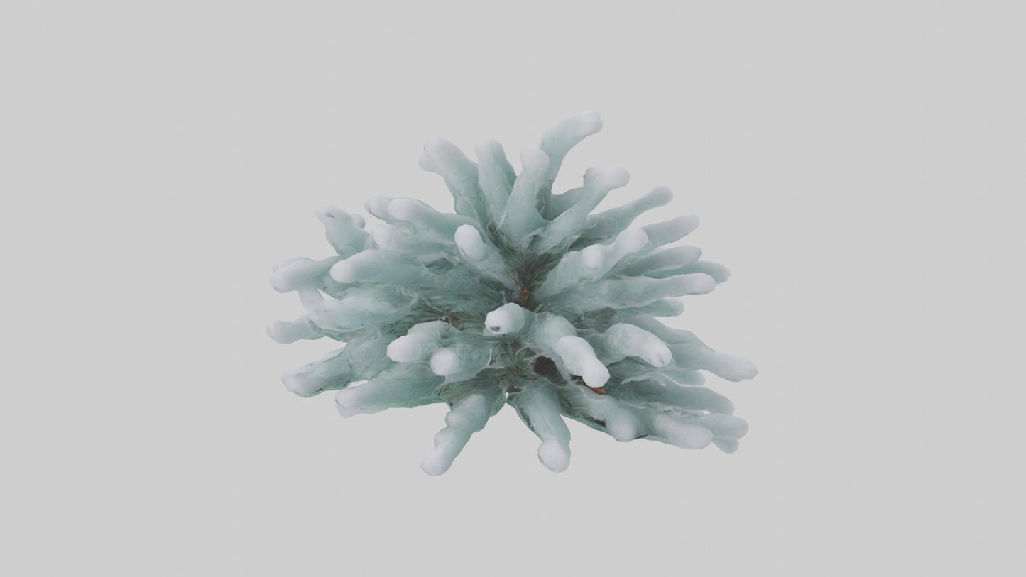 Frosted Pine Boughs model 3D model