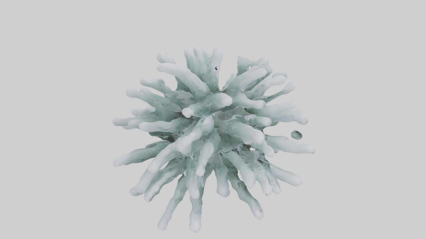 Frosted Pine Boughs model 3D model