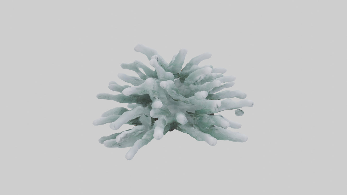 Frosted Pine Boughs model 3D model