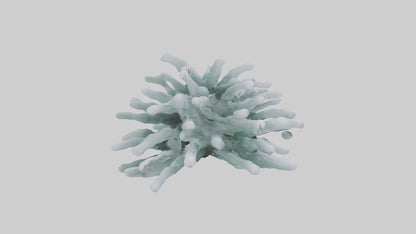 Frosted Pine Boughs model 3D model