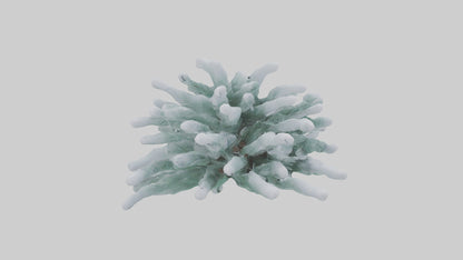 Frosted Pine Boughs model 3D model