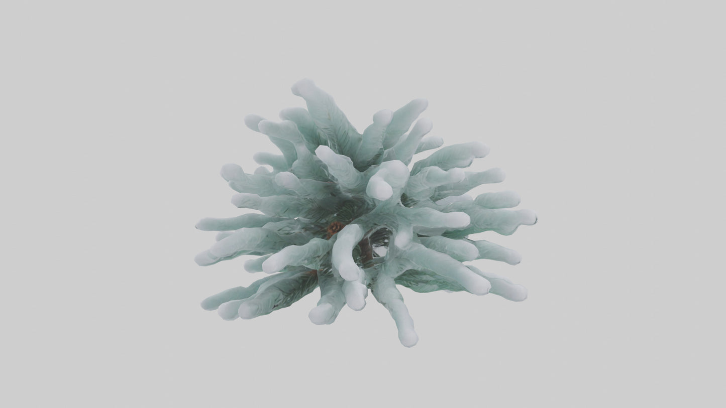 Frosted Pine Boughs model 3D model