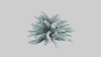 Frosted Pine Boughs model 3D model