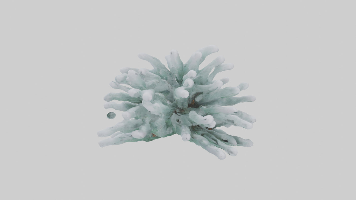 Frosted Pine Boughs model 3D model