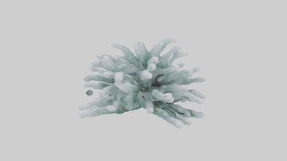 Frosted Pine Boughs model 3D model