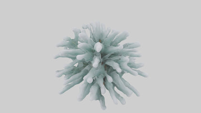 Frosted Pine Boughs model 3D model