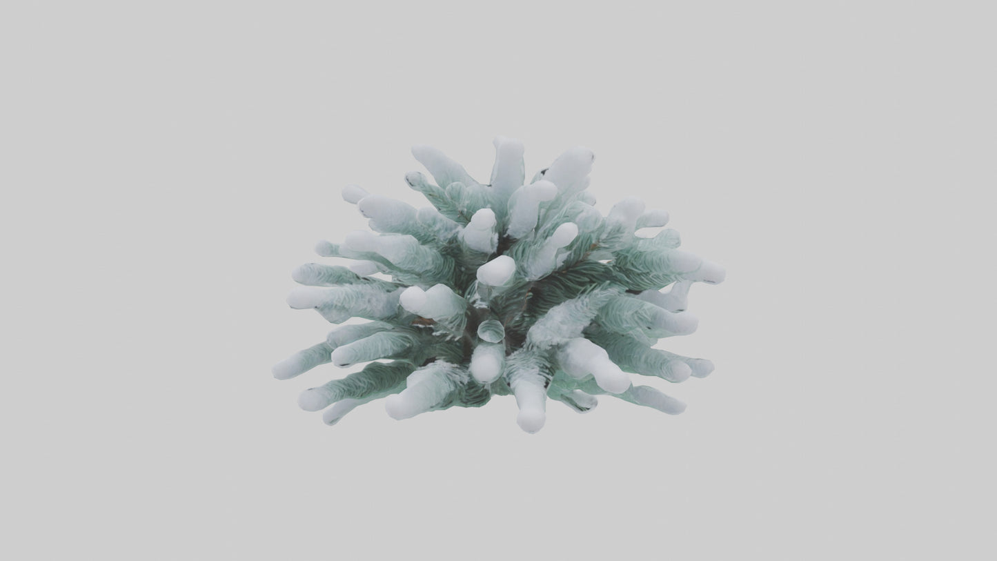 Frosted Pine Boughs model 3D model