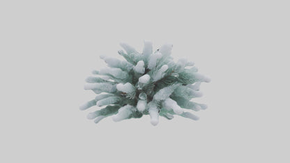 Frosted Pine Boughs model 3D model