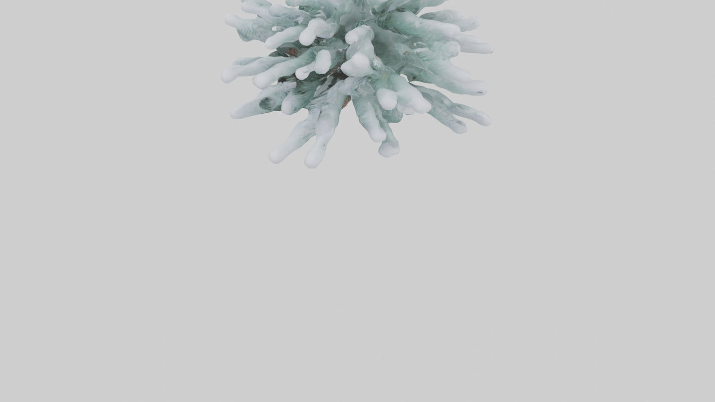 Frosted Pine Boughs model 3D model