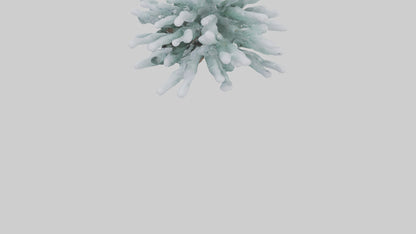 Frosted Pine Boughs model 3D model