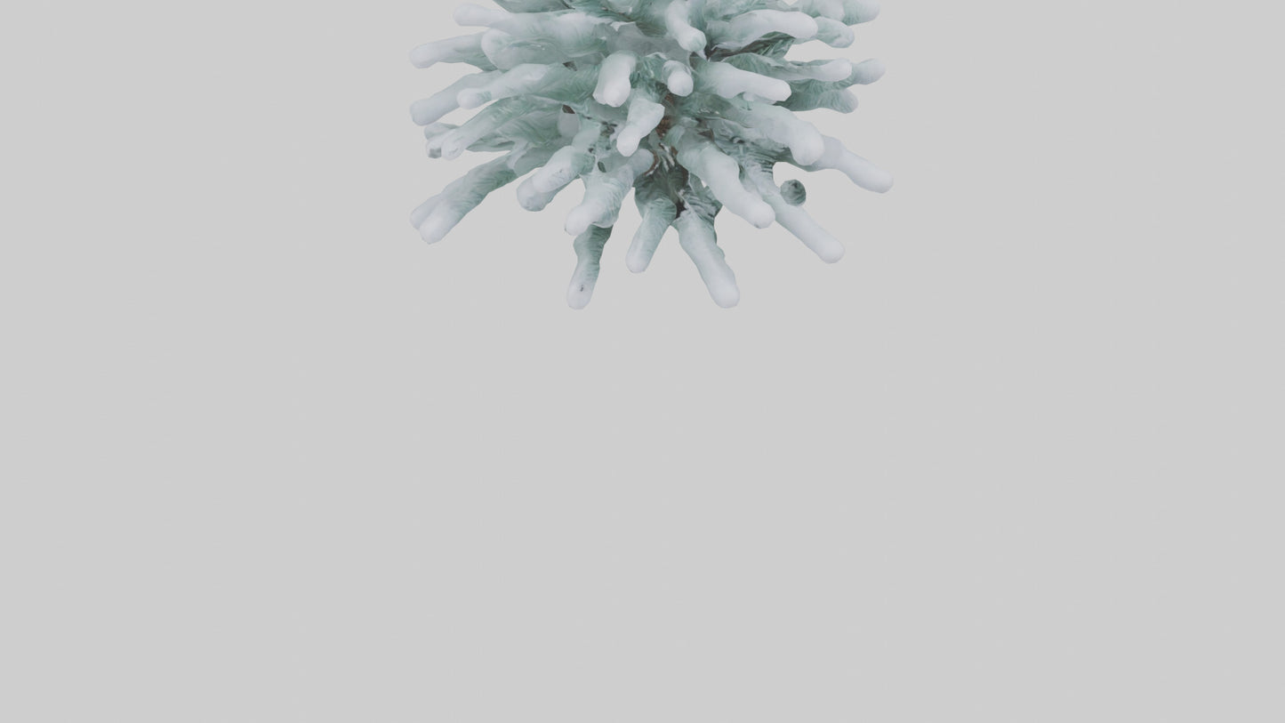 Frosted Pine Boughs model 3D model