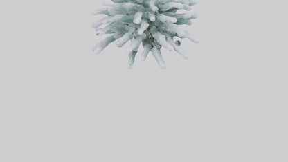 Frosted Pine Boughs model 3D model