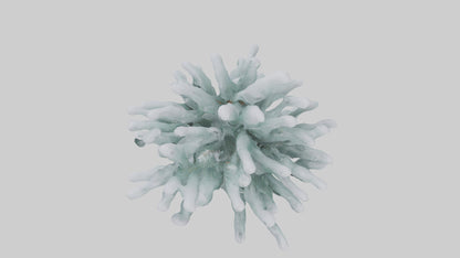 Frosted Pine Boughs model 3D model