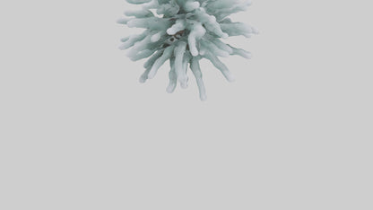 Frosted Pine Boughs model 3D model