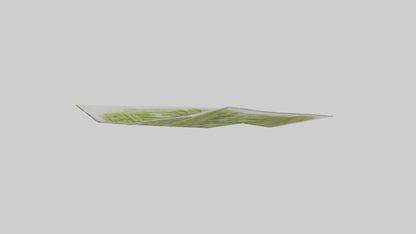 Frozen Asparagus Pack model VR / AR / low-poly