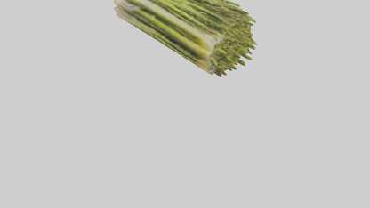 Frozen Asparagus Pack model 3D model
